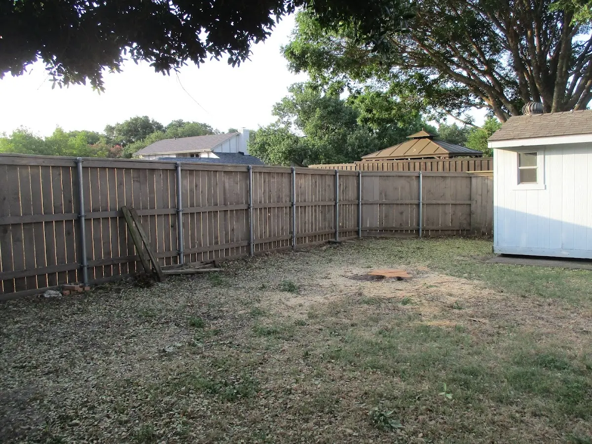 Cleared yard after professional tree removal in Ezel